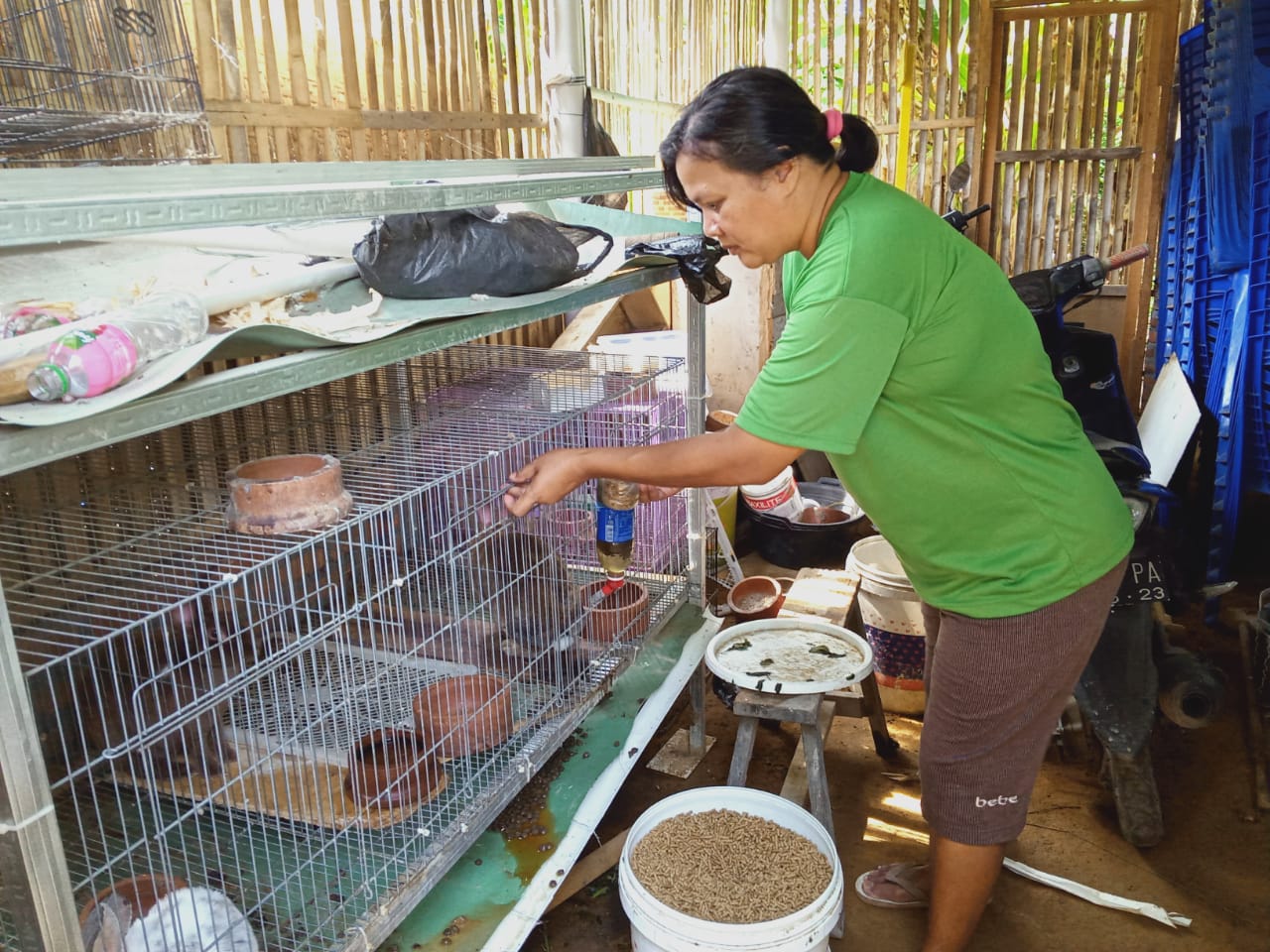 Evi, Orang dengan Disabilitas Psikososial dengan Segudang Kegiatan Sosial